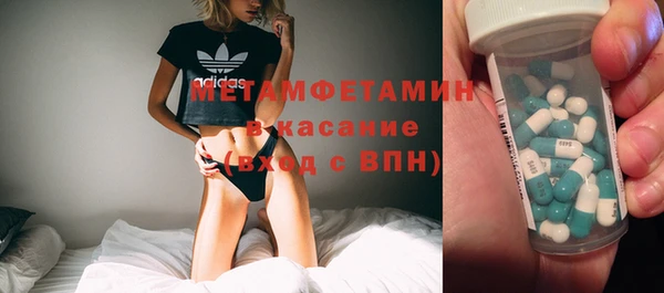 прущие грибы Лихославль