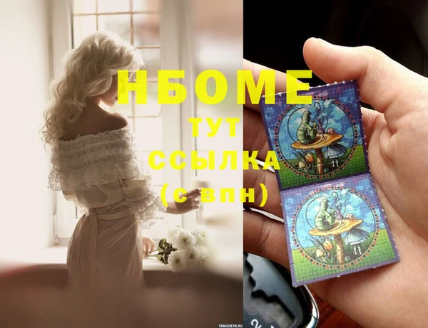 прущие грибы Лихославль