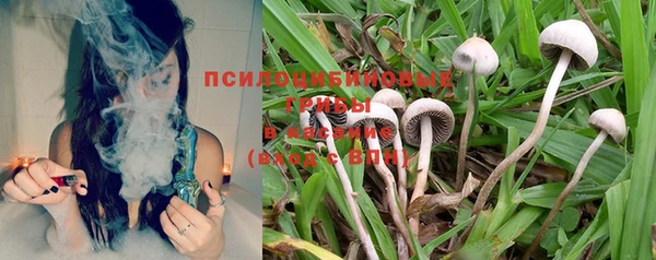 прущие грибы Лихославль