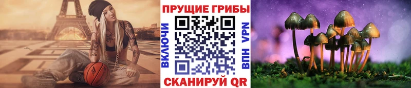 купить   Славск  Псилоцибиновые грибы Magic Shrooms 